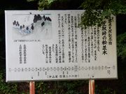 w-maså}擻̏؂̓eʐ^2