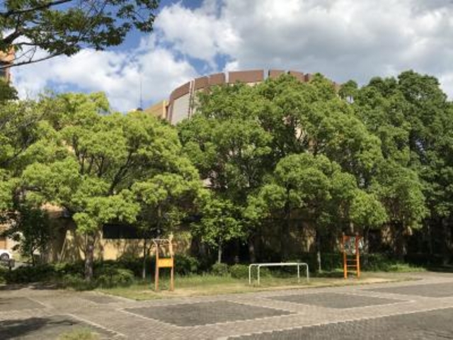 �O��_�o���h�[�_�ː��N�Ȋw�فi�_�ˎs�����N�Ȋw�فj