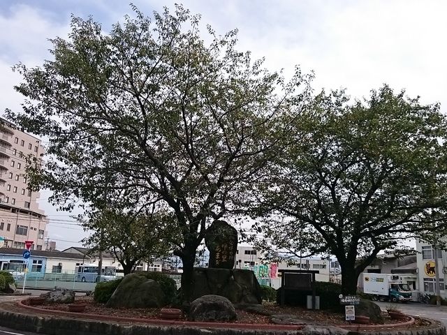 Ö؉w~čł_WCtÖ؉wOX