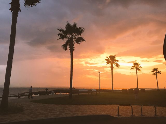 �Ė�C��_�R�z����c�s�h�����C�{�݂����𗬊�