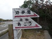 񂸂̎˖MѐыyъCݐAQ̓eʐ^1