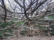 񂸂̎˖MѐыyъCݐAQ̓eʐ^3