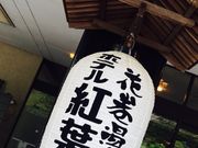 ݂񂳂̃zegtق̓eʐ^1