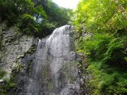 悵̐i쌧ꑺj̓eʐ^1