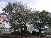 񂿂񂳂̃WCtÖ؉wOX̓eʐ^1