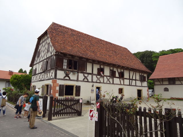 �X�C�X�@�`�����n���̉�_��O���������ك��g�����[���h