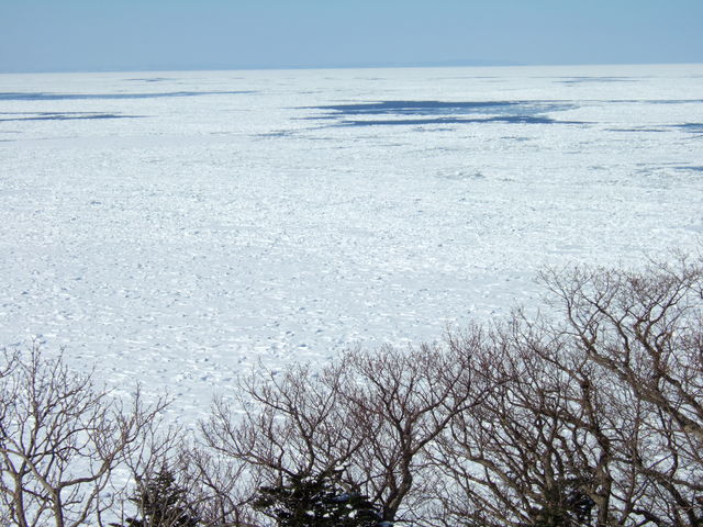 ���X�ɕ���ꂽ�I�z�[�c�N�C_���X