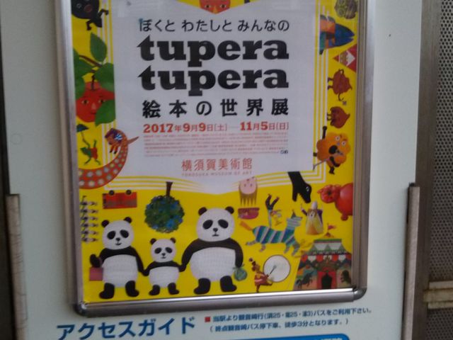 ���{����p��_���{����p��