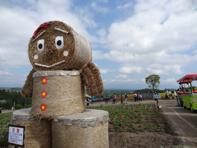 �m�̃}�X�R�b�g���i�F�ɗn������_�l�G�ʂ̋u