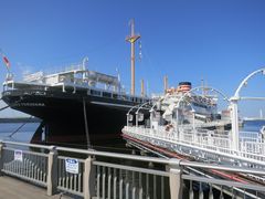 A\j[̓{XDXۂւ̓eʐ^1