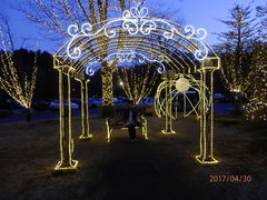 kim񂳂̑ÃiE][gzeւ̓eʐ^1