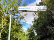 Happy̔ˌԍng[jOGA̓eʐ^1