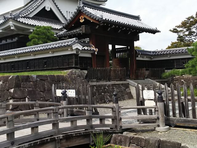 ������������@_�����������