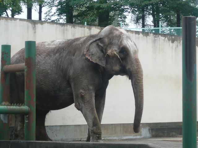 �����ō���ƈē��łɏ����Ă������悤�ȁH_���тЂ듮����