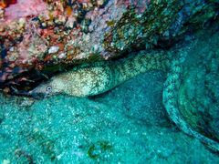 ۂ񂳂̖kZEEr܁EVhɓcA[@Lb`_Cuւ̓eʐ^2