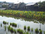 ^P`̔Prr̃nXEAEVEuEJLco^EXC̓eʐ^1