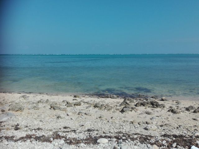 ���ۊC��_���ۊC��