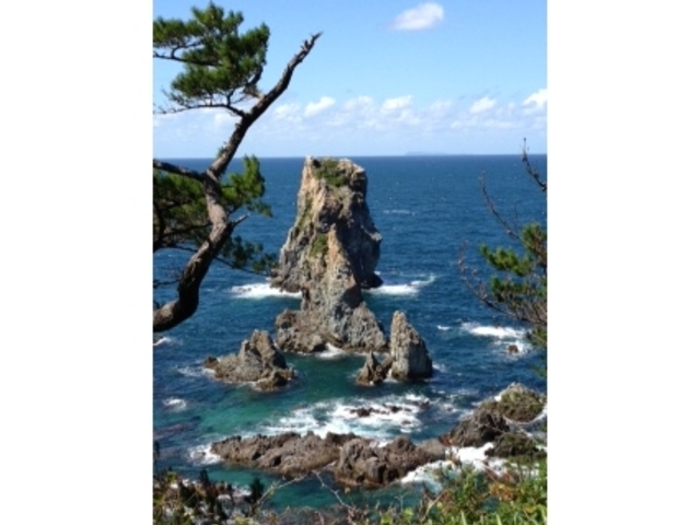 �V�������猩�����i�ł�_�C��