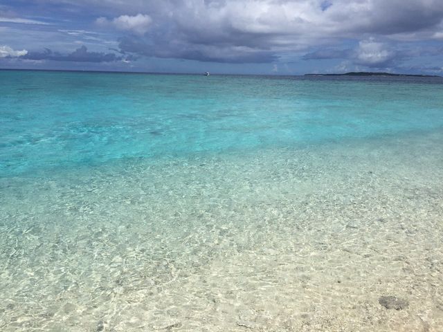 �T���S�łł������ɘA��čs���Ă��炢�܂����I_���\�������X�[��