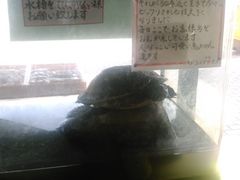 Cbcpp̏ނV^[ւ̓eʐ^3