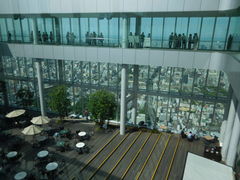 LOTTỸnJX300ւ̓eʐ^1