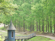 肿񂳂̃g[xE\ڂ̎qǂ̐X̓eʐ^1