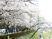 w-masa̒ǐ̍؂̓eʐ^1