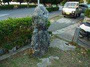 ��������^������񂳂�̐l���Ő΂̓��e�ʐ^1