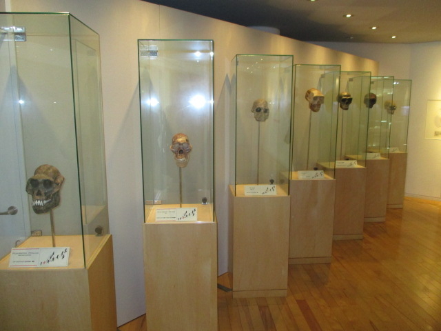 ���W���̐��X�c_�n��̐X�~���[�W�A���i�x���Օۑ��فj