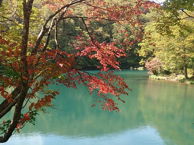 �h�b�R��_�����������[�v�E�F�C