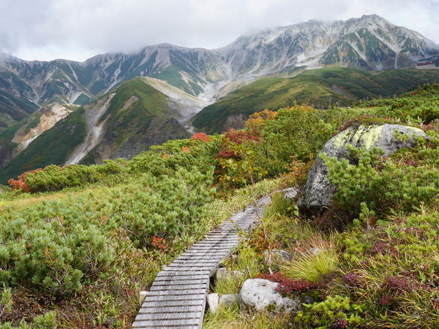 �V�畽���B_�\�[������