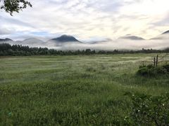 ͂邿񂳂̏cKւ̓eʐ^1