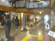 �T�r�L����̖L���s���R�E�m�g�������ق̓��e�ʐ^1