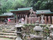 ߋT|~̍]_Ђ̓eʐ^1