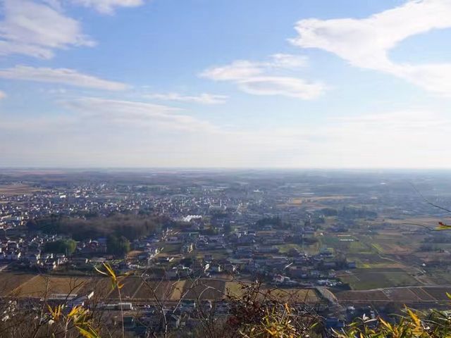 �֓�����_��D�R������