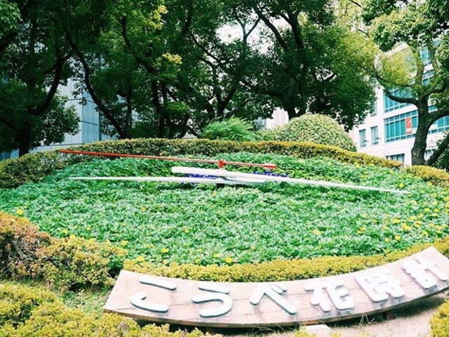 �_�ˉԎ��v_�_�ˉԎ��v