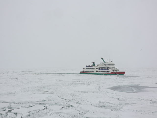 �n�C�V�[�Y���̂��ߌ��������ɂ����[��獆���c_�I�z�[�c�N�C�̗��X