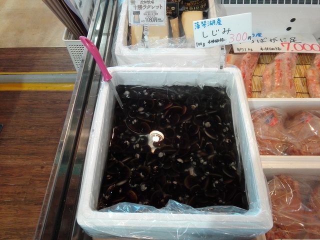 ������_���̉w ���X�X���ԑ�