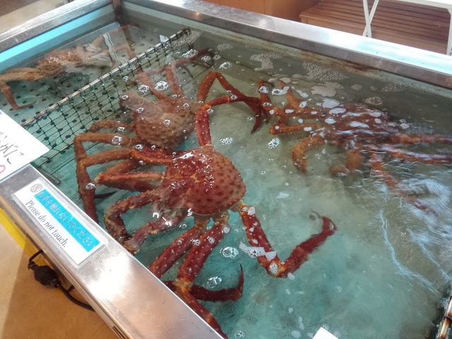 ���J�j_���̉w ���X�X���ԑ�