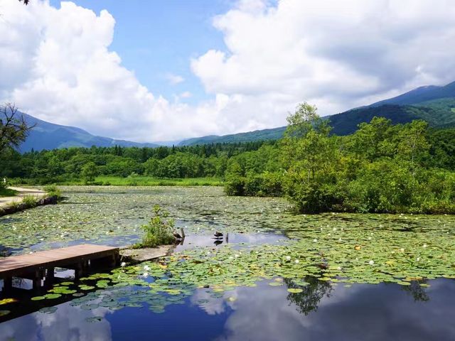 ������r_���������i������r�j