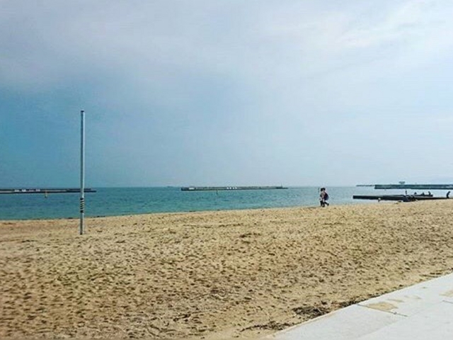 �{���C������_�{���C������