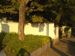 cJ擙X͂̏Zl̂ނ[厛qւ̓eʐ^1