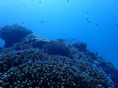 vip1677̃JCU[}Nuւ̓eʐ^1