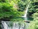 じんちゃんさんの布引の滝（兵庫県神戸市）の投稿写真1