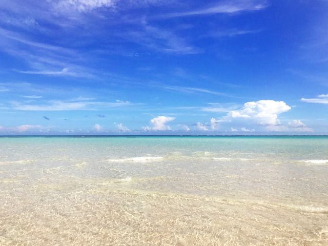 �F�̃R���g���X�g�I_�S�����l