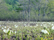 ߂̎uꍂ̐mԂ̓eʐ^1