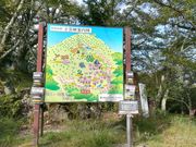 panchan����̗��_���̍��̓��e�ʐ^1