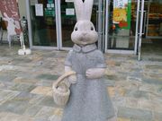 Cbcpp̃Vx[̓m X̓eʐ^2