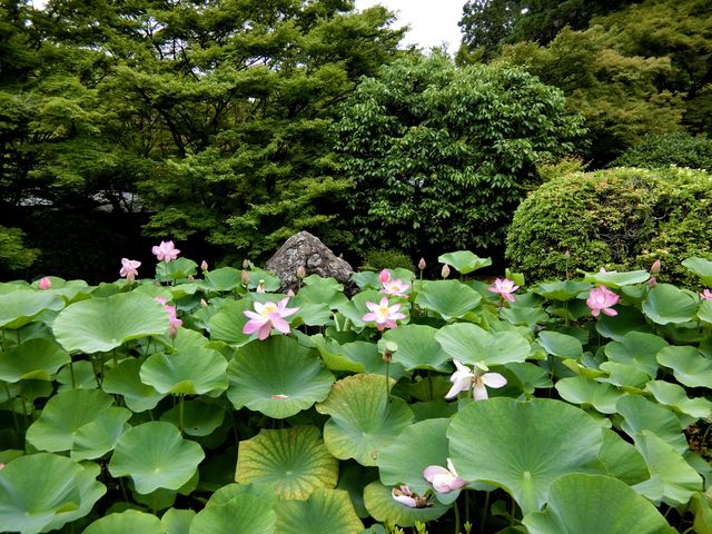 �@�����o�}��_���F��