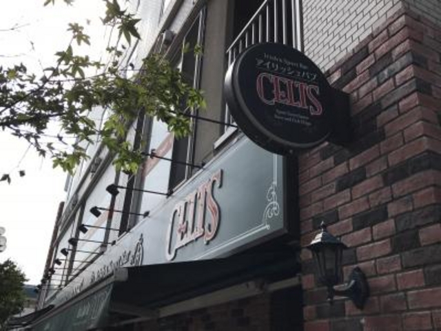 SHINIRISH PUB CELTS Pc {wOX̓eʐ^1